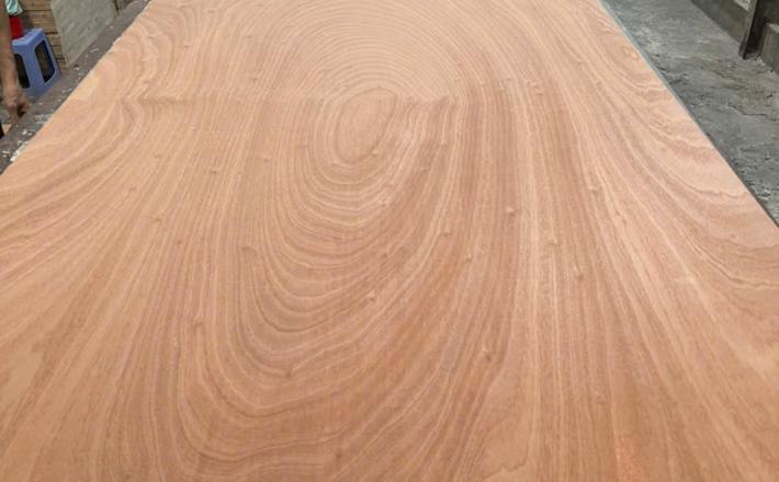 GỖ VENEER - MINH KHÔI WOOD
