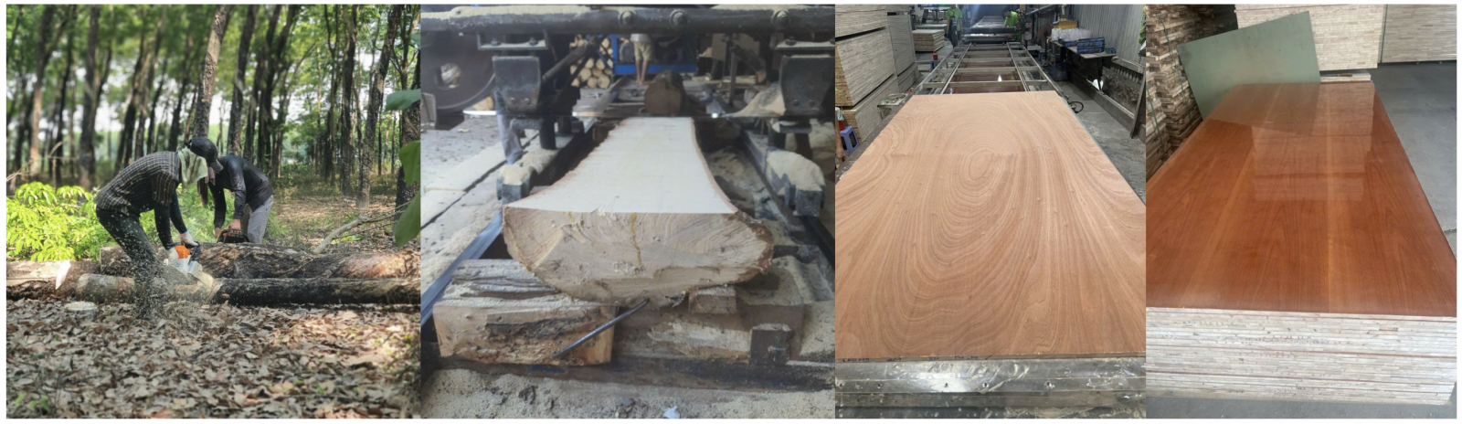 Ứng dụng gỗ veneer vào nội thất
