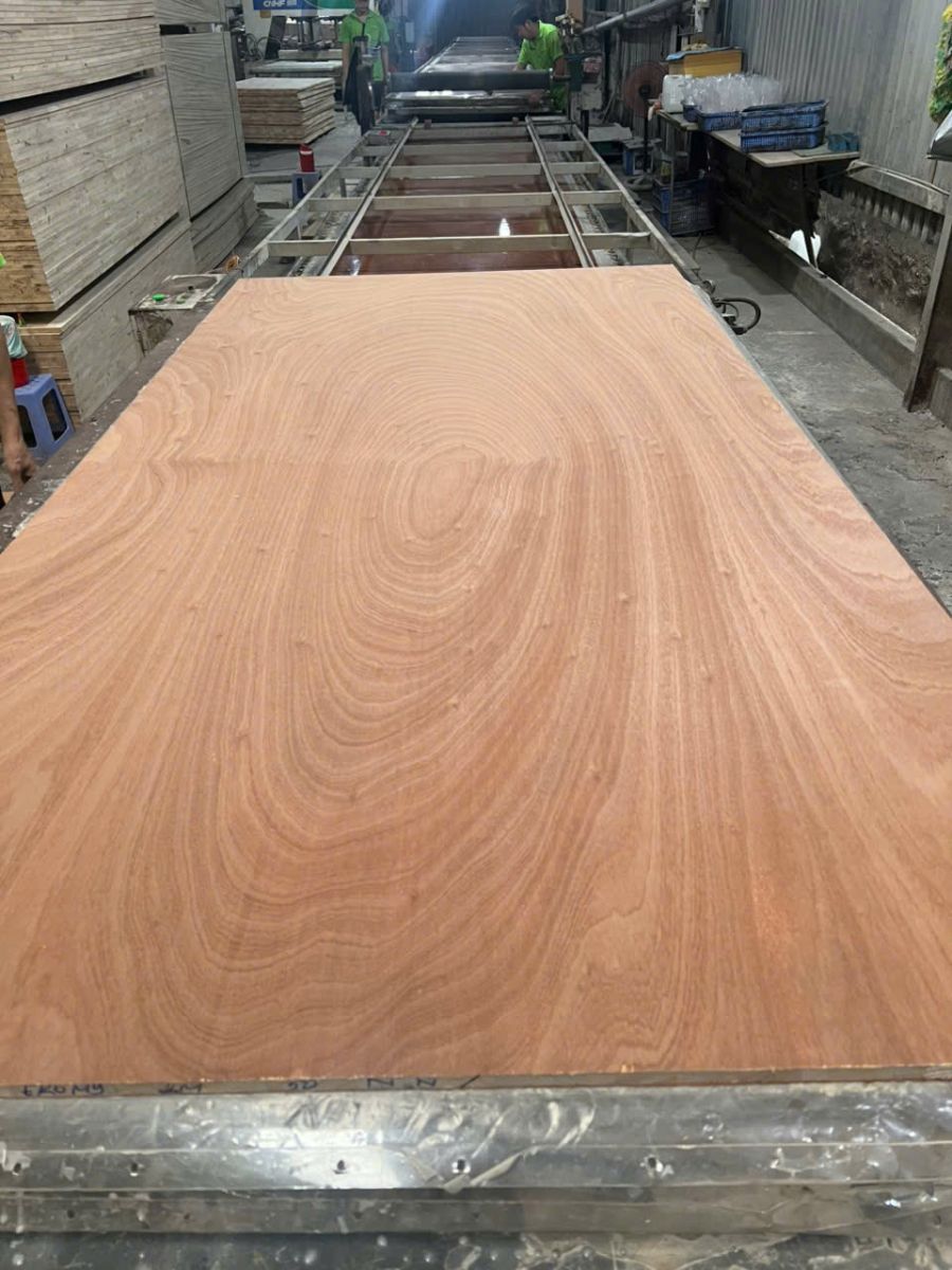 cung cấp gỗ veneer